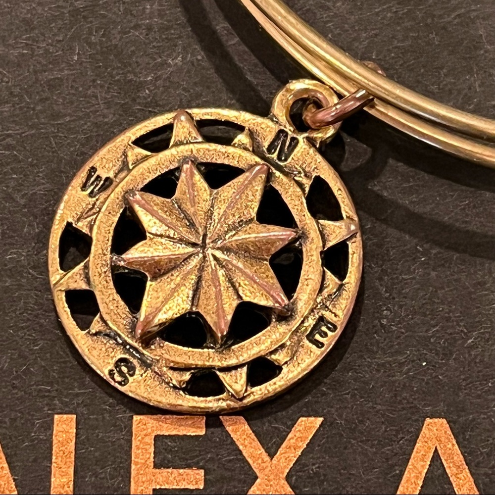 Alex and Ani Compass Charm Bangle Bracelet